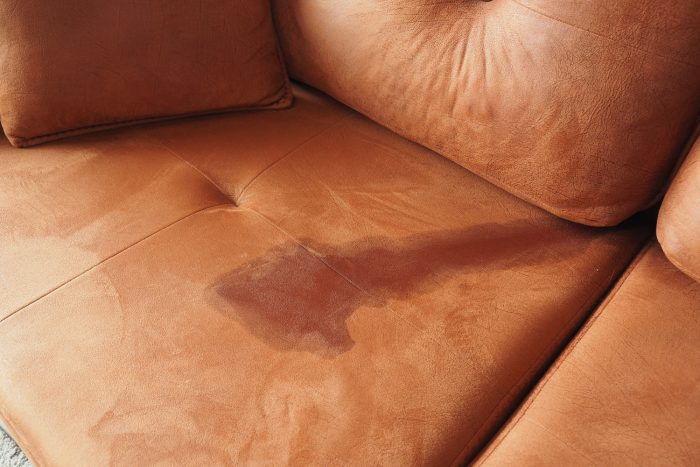 Cheiro de pet e manchas no sofá? O perigo das receitas caseiras que arruínam seu estofado